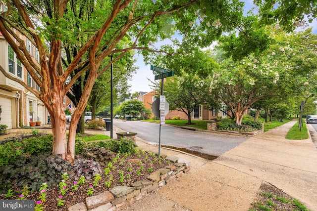 913 Rolfe Pl, Alexandria, VA 22314 - view of asphalt road with sidewalks, curbs, and traffic signs
