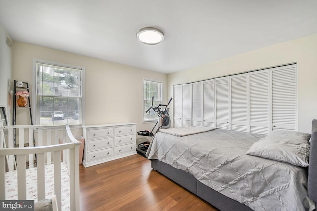 784 Quince Orchard Blvd Unit T1, Gaithersburg, MD 20878 - bedroom featuring wood finished floors, multiple windows, and a closet