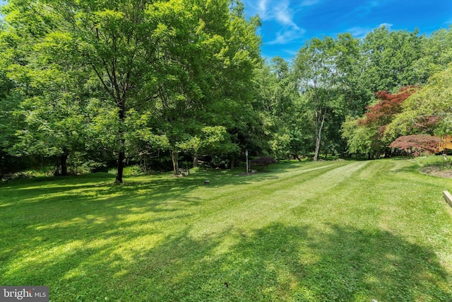 213 Willits Way, Glen Mills, PA 19342 - view of grassy yard