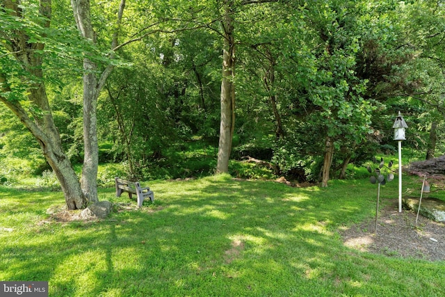213 Willits Way, Glen Mills, PA 19342 - view of grassy yard
