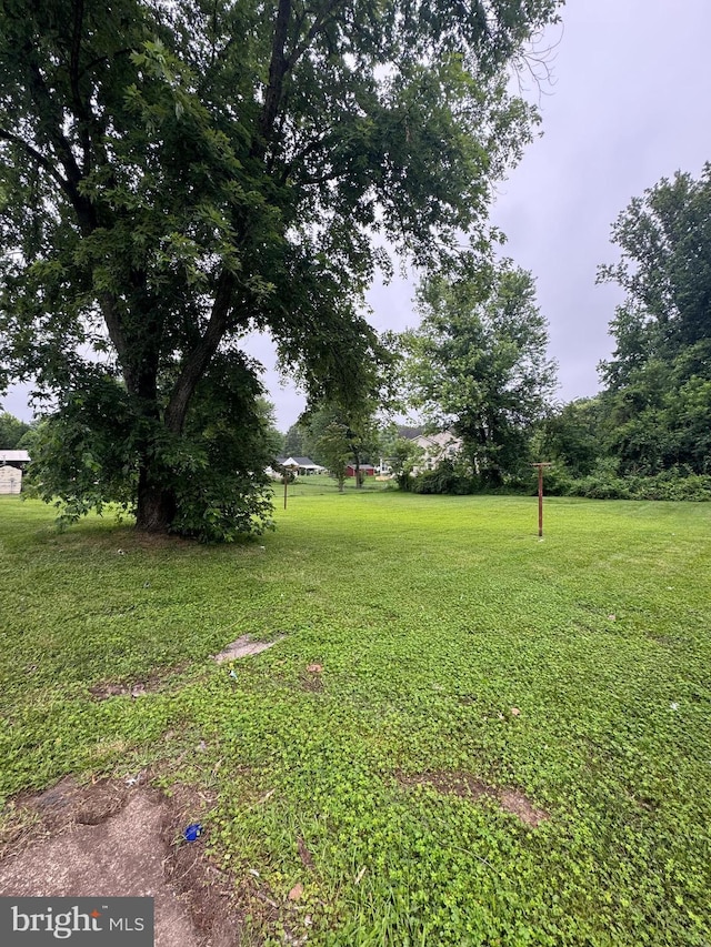 5825 Ebenezer Rd, White Marsh, MD 21162 - view of green lawn