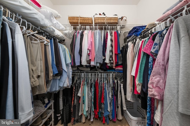 42 Ruddy Duck Ln, Bridgeville, DE 19933 - view of spacious closet