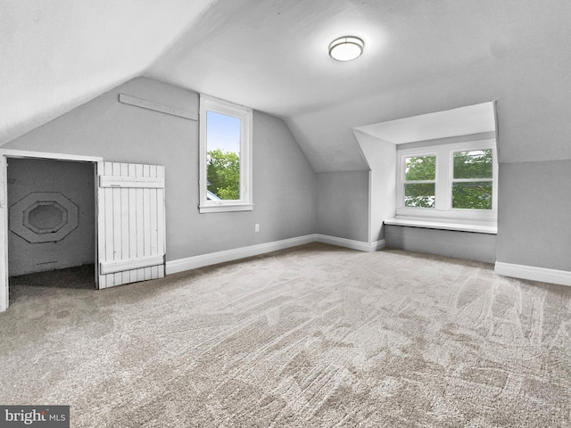 534 Columbia Ave, Millville, NJ 08332 - bonus room featuring lofted ceiling and carpet