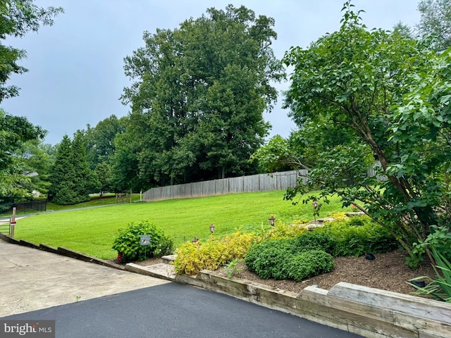 11608 Leesburg Pike, Herndon, VA 20170 - view of yard