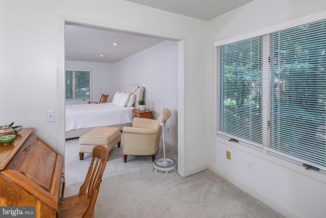 9 Sleepy Hollow Ln, West Windsor, NJ 08550 - bedroom featuring carpet flooring and recessed lighting