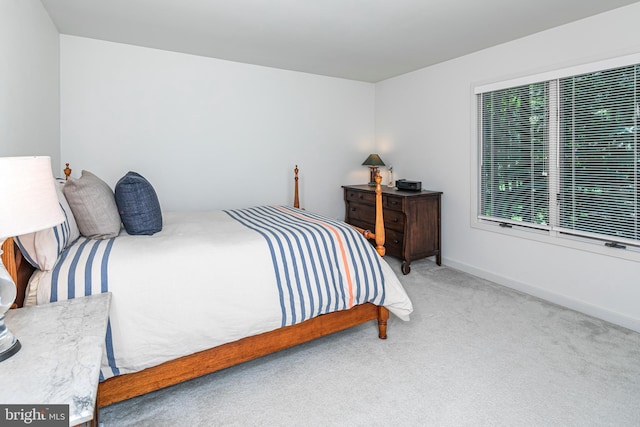 9 Sleepy Hollow Ln, West Windsor, NJ 08550 - carpeted bedroom with baseboards