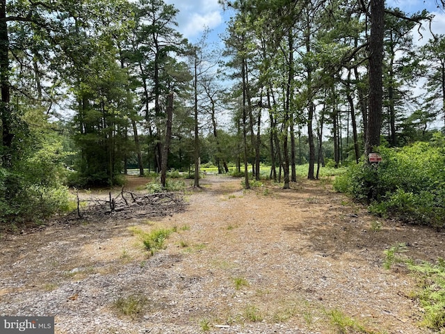 4320 Lake Nescochague Dr, Hammonton, NJ 08037