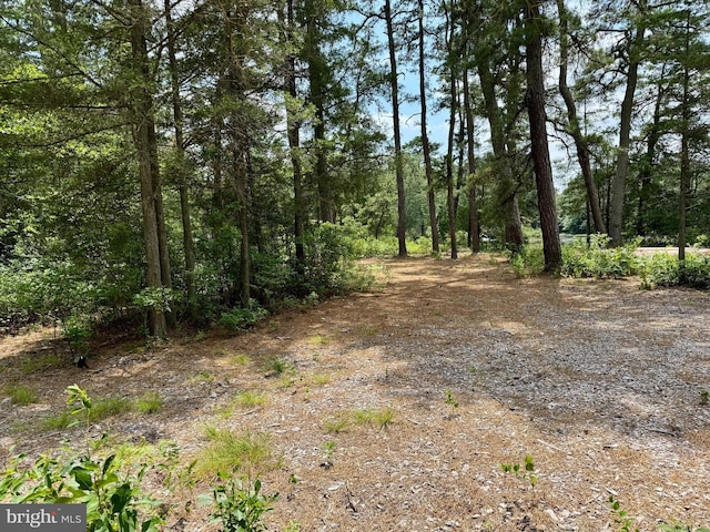 4320 Lake Nescochague Dr, Hammonton, NJ 08037