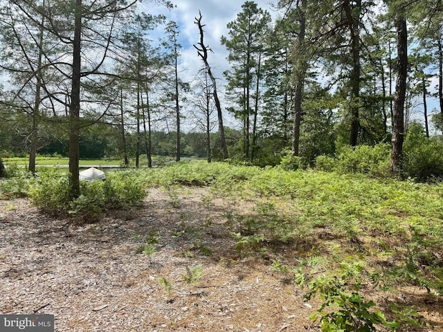 4320 Lake Nescochague Dr, Hammonton, NJ 08037