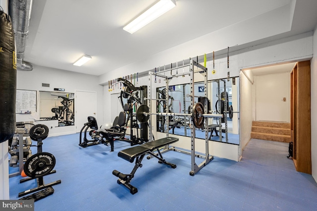 10309 E Hunter Valley Rd, Vienna, VA 22181 - view of gym
