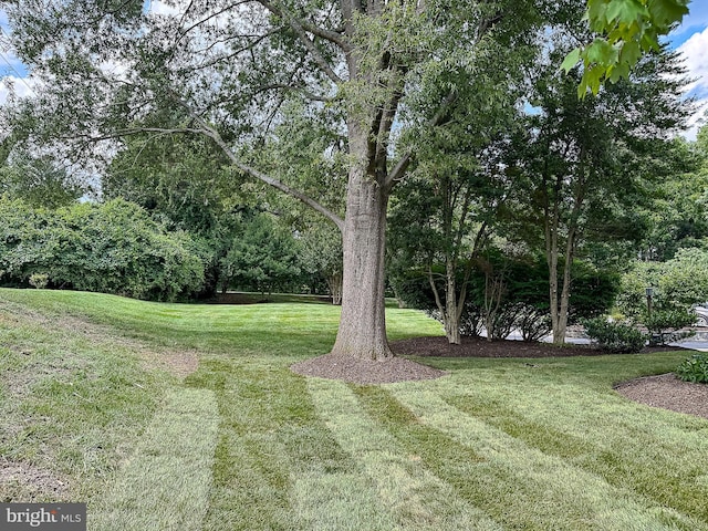 10309 E Hunter Valley Rd, Vienna, VA 22181 - view of green lawn