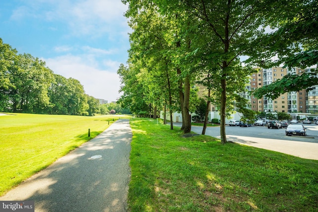 15100 Interlachen Dr Unit 4-207, Silver Spring, MD 20906 - surrounding community featuring a lawn