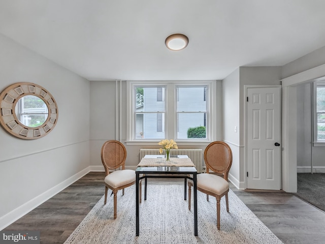 729 E Main St, Ephrata, PA 17522 - dining room featuring healthy amount of natural light, wood finished floors, and radiator heating unit