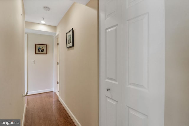 4195 S Four Mile Run Dr Unit 203, Arlington, VA 22204 - hallway with dark wood-style flooring and baseboards
