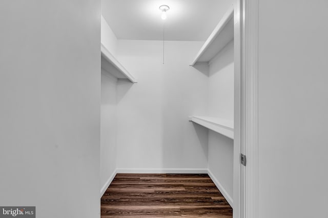 1205 Maresfield Ct, Marlton, NJ 08053 - walk in closet with wood finished floors