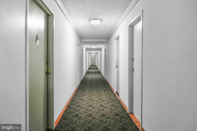 6641 Wakefield Dr Unit 405, Alexandria, VA 22307 - corridor with ornamental molding, tile patterned floors, and a textured ceiling