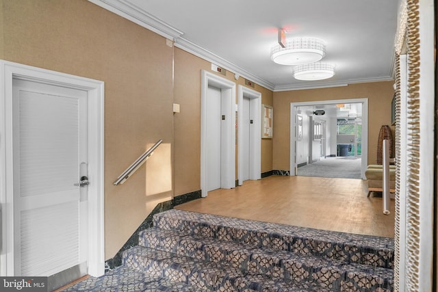 6641 Wakefield Dr Unit 405, Alexandria, VA 22307 - hallway with elevator and ornamental molding