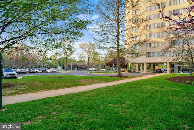 6641 Wakefield Dr Unit 405, Alexandria, VA 22307 - view of community featuring a yard