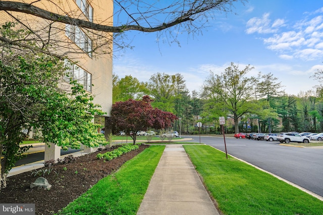6641 Wakefield Dr Unit 405, Alexandria, VA 22307 - view of asphalt road with sidewalks and traffic signs
