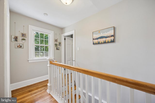 927 Drexel Ave, Drexel Hill, PA 19026 - corridor with light wood finished floors and an upstairs landing