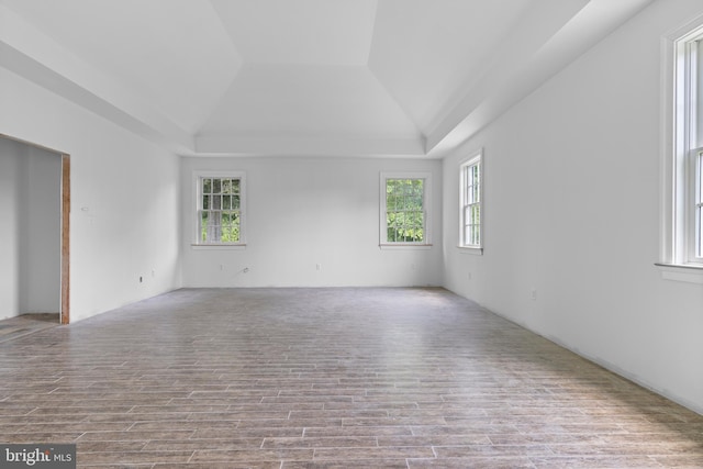 453 Bayard Rd, Kennett Square, PA 19348 - unfurnished room featuring healthy amount of natural light, a raised ceiling, and wood finished floors