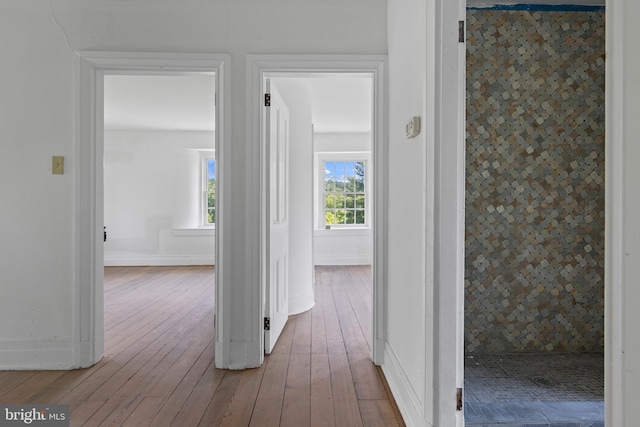453 Bayard Rd, Kennett Square, PA 19348 - hall with hardwood / wood-style flooring and baseboards