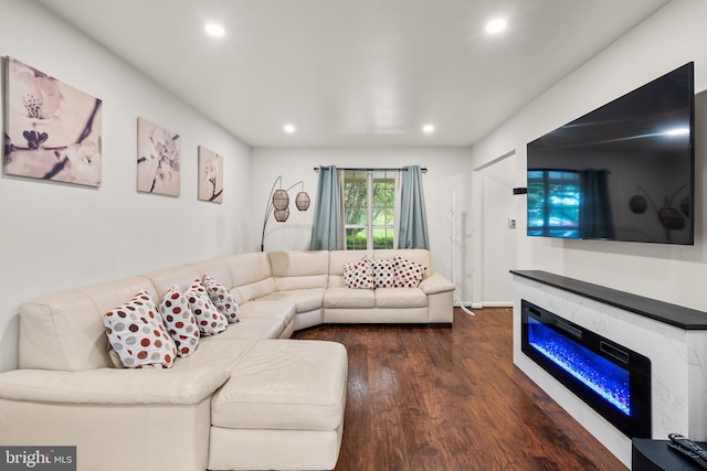 9304 Taverney Ter, Gaithersburg, MD 20879 - living area featuring wood finished floors, recessed lighting, and a glass covered fireplace