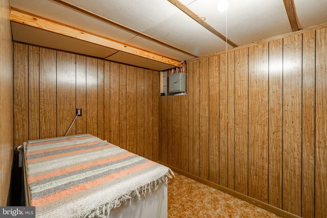 38 Skyview Ln, Lititz, PA 17543 - bedroom with wood walls and carpet floors