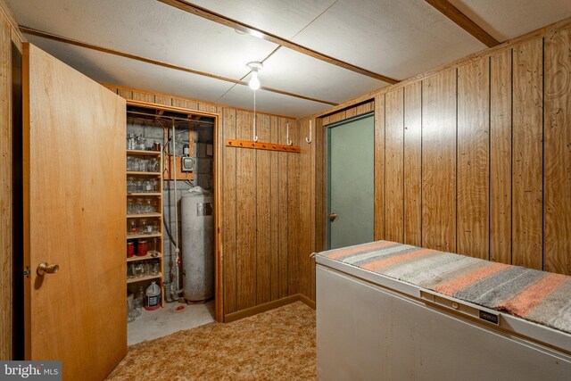 38 Skyview Ln, Lititz, PA 17543 - laundry room featuring wood walls and carpet