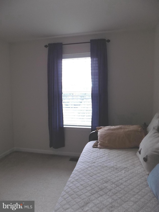 9545 Elizabeth Howe Ln, Owings Mills, MD 21117 - bedroom with carpet and baseboards