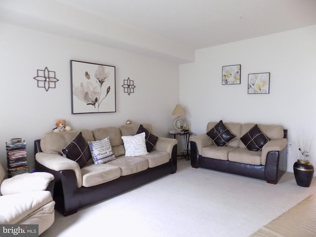 9545 Elizabeth Howe Ln, Owings Mills, MD 21117 - view of carpeted living room