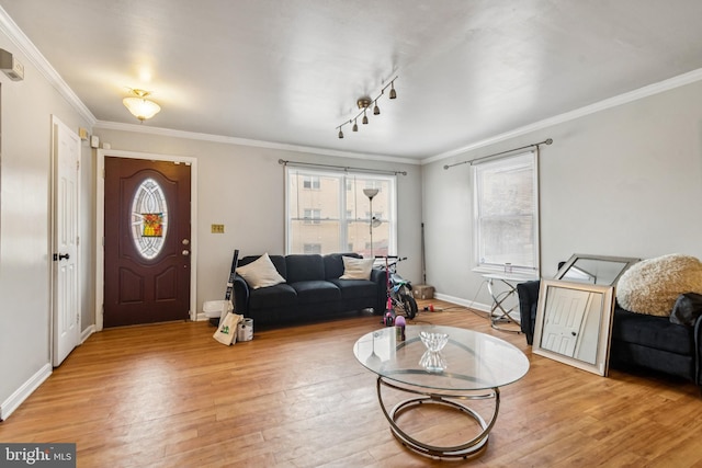 5349 Call Pl SE, Washington, DC 20019 - living room with ornamental molding and light wood-type flooring