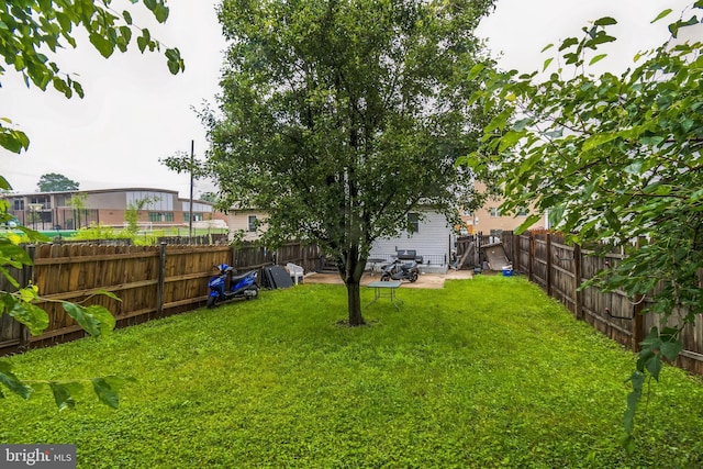 5349 Call Pl SE, Washington, DC 20019 - view of fenced backyard