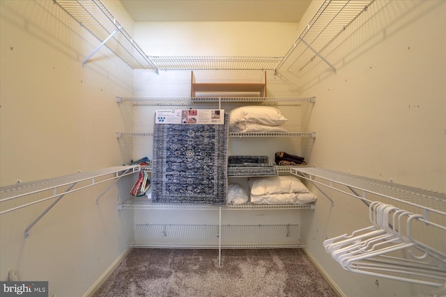 1339 Georgetown Cir, Carlisle, PA 17013 - spacious closet featuring carpet floors
