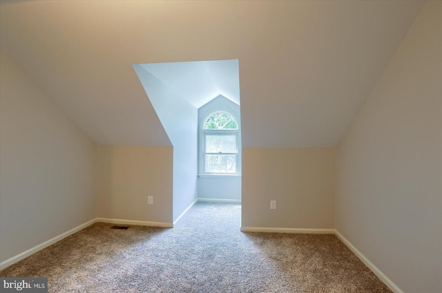 1339 Georgetown Cir, Carlisle, PA 17013 - bonus room featuring carpet floors and lofted ceiling