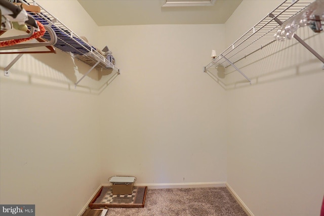 1339 Georgetown Cir, Carlisle, PA 17013 - spacious closet with carpet floors