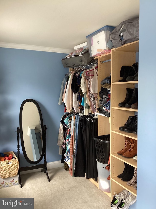 3703 Elberta Ln, Marlton, NJ 08053 - spacious closet with carpet floors