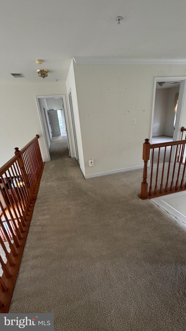 10005 Erion Ct, Bowie, MD 20721 - hall featuring an upstairs landing, carpet flooring, and crown molding