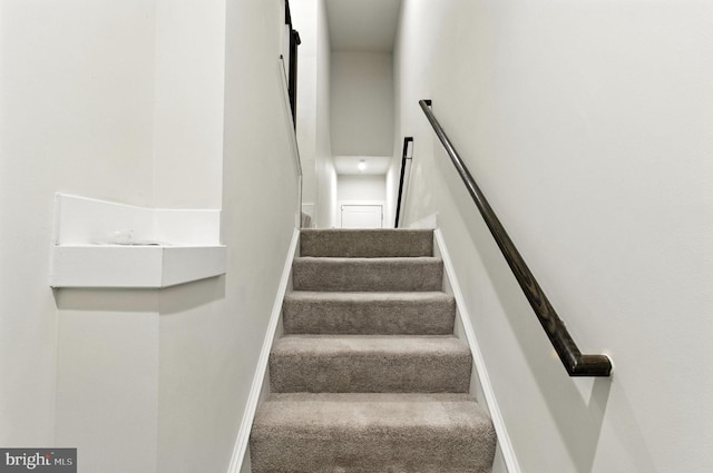 14450 Mattawoman Dr Unit 4000M, Brandywine, MD 20613 - stairway with carpet and baseboards