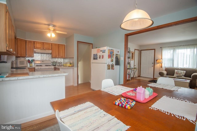 103 David Rd, Wilmington, DE 19804 - dining space featuring a ceiling fan and light wood-type flooring