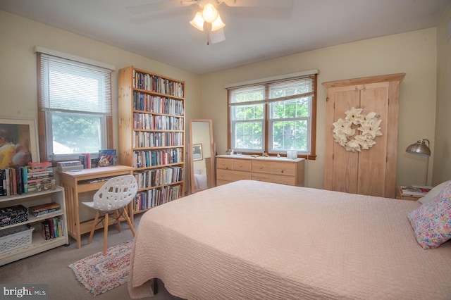 103 David Rd, Wilmington, DE 19804 - carpeted bedroom with a ceiling fan
