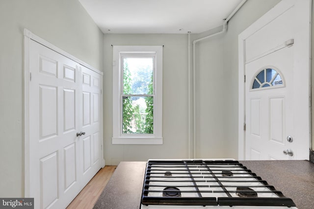 1223 Euclid St NW, Washington, DC 20009 - foyer featuring plenty of natural light and wood finished floors