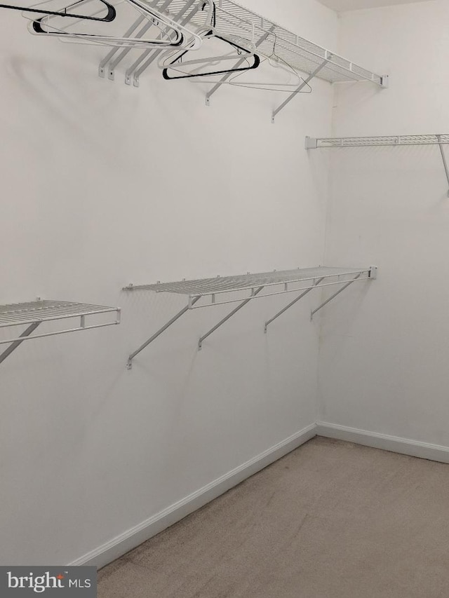 46838 Graham Cove Sq, Sterling, VA 20165 - walk in closet with light colored carpet