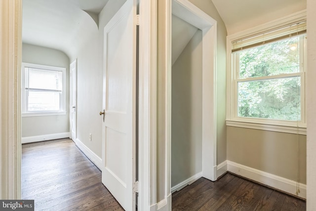 2504 Parkview Rd, Baltimore, MD 21207 - corridor featuring dark wood-style flooring, vaulted ceiling, and plenty of natural light