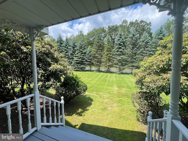 106 Lynx Ln, Effort, PA 18330 - view of grassy yard