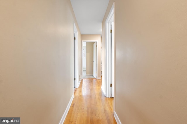 1965 Niagara Ln, York, PA 17408 - corridor with light wood-type flooring and baseboards