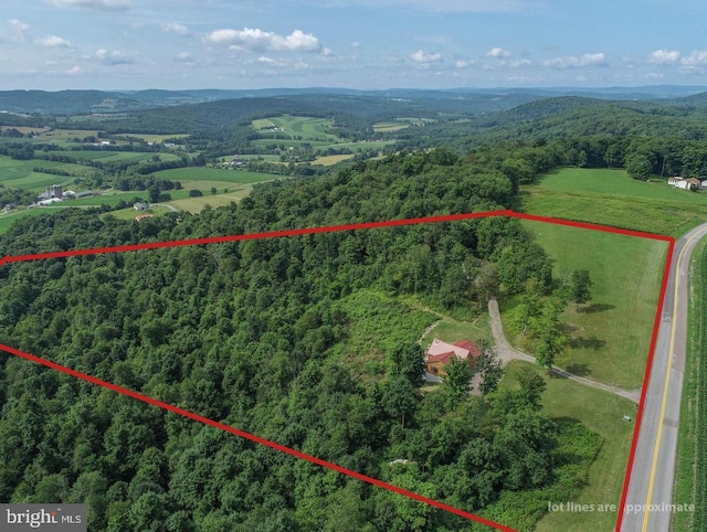322 Devils Half Acre Rd, Accident, MD 21520 - aerial view of property's location with a heavily wooded area and property boundaries highlighted