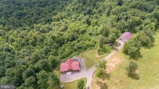 322 Devils Half Acre Rd, Accident, MD 21520 - view from above of property featuring a forest