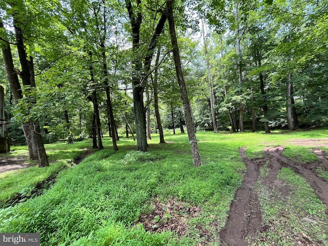 93 Jacobs Creek Rd, Ewing, NJ 08628 - view of yard