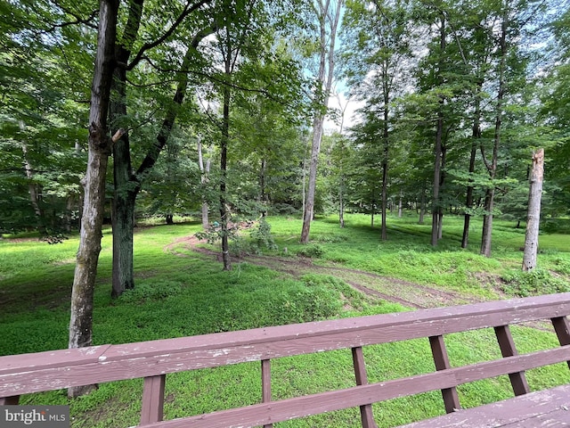 93 Jacobs Creek Rd, Ewing, NJ 08628 - view of green lawn